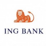 İNG BANKASI